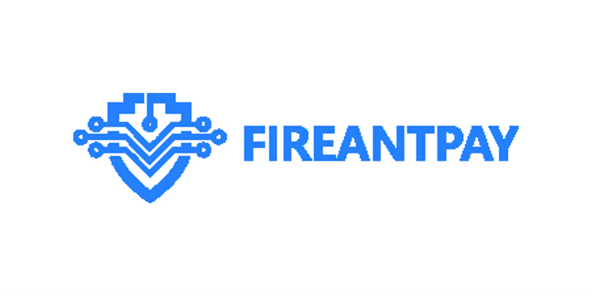 99-07 FIREANTPAY
